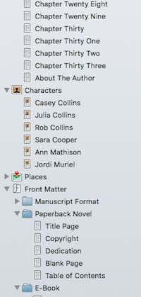 Scrivener Sections